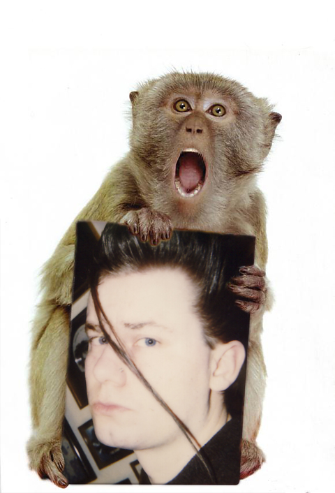 monkey stress